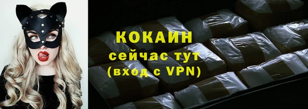 ALPHA PVP Горняк