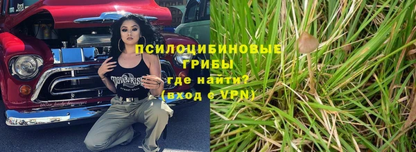 спиды Горно-Алтайск